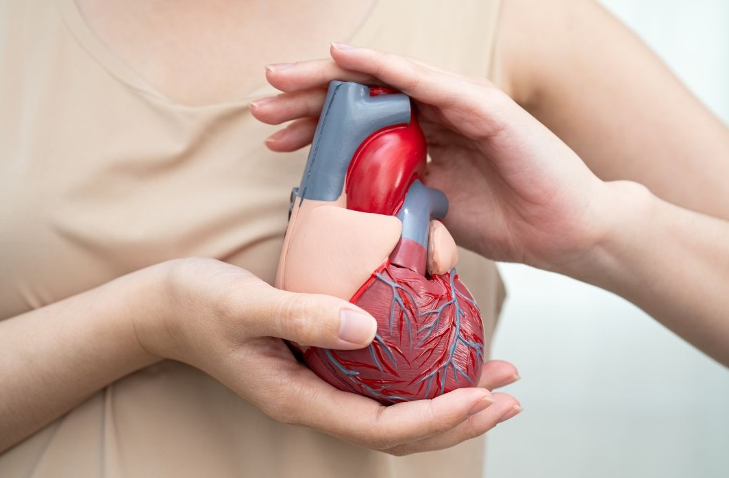 cardiovascular disease