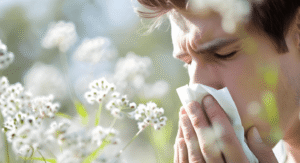 Man sneezing into a tissue outdoors among flowering plants during hay fever season.