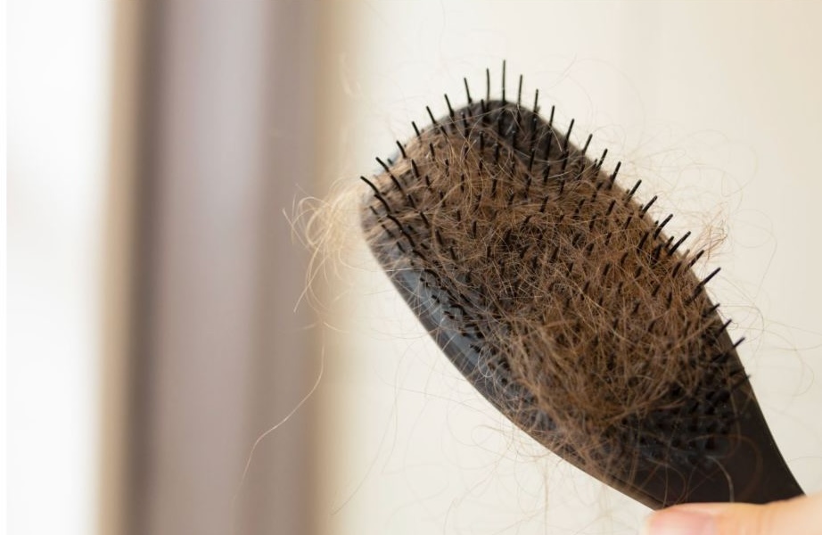 Hairbrush with loose strands of hair showing everyday hair shedding